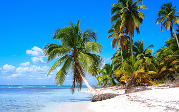 Caribbean Islands, Saona Island ry, Beautiful Caribbean beaches, Most beautiful beaches HD wallpaper