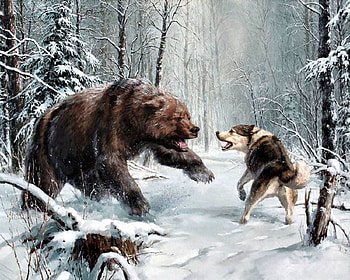 Bear Versus Wolf FC, winter, art, landscape, beautiful, wolf, four seasons, illustration, artwork, scenery, wide screen, wildlife, painting, bear, snow HD wallpaper