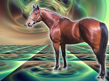 Horse Rainbow, horses, abstract, nature, ponies, rainbows HD wallpaper