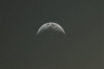 Minimalist SpaceX Dragon , space-x, space, moon, minimalism, minimalist, dark HD wallpaper