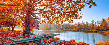 Ultrawide autumn, Expansive view, Immersive experience, Vibrant hues HD wallpaper