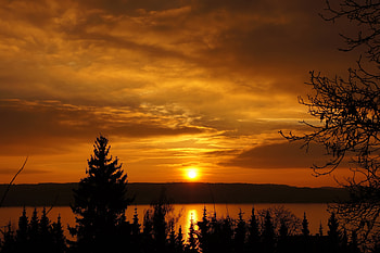 Nature, Rivers, Trees, Sunset, Sky HD wallpaper