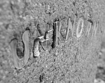 Nightmare Grave, white, black, grave, michigan HD wallpaper