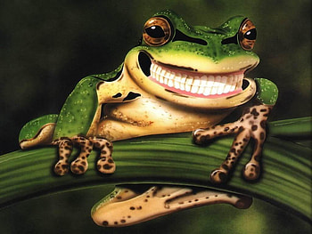 frog with chessy smile 1024x768. jpg, frog, chessy, sitting, smile HD wallpaper