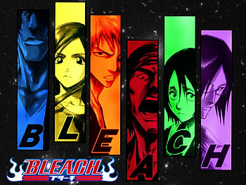bleach, ichigo, orihime, renji, isa, sado, rukia HD wallpaper