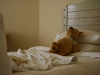 Bear Needs His Rest, animal, toy, stuffed, rest, bed, bear HD wallpaper