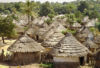 Guinea village, Guinea pistenkuh, Guinea landscape, Guinea houses HD wallpaper