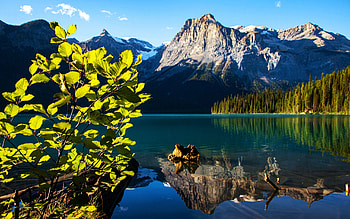 Emerald Lake, Yoho National Park, British Columbia, reflection, clouds, trees, sky, canada, mountains, water HD wallpaper