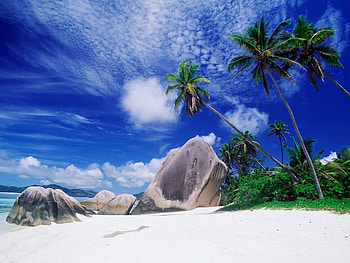 dream to be there, you, dream HD wallpaper