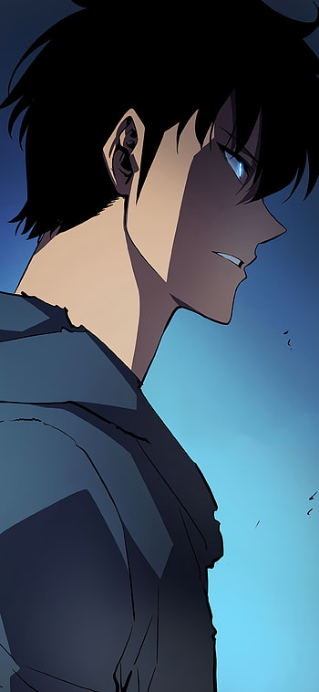 Sung Jin-Woo Epic: Solo Leveling Masterpiece, Sung Jin-Woo, Anime, Solo Leveling HD phone wallpaper
