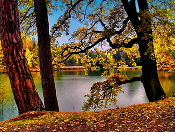 Lake in fall, river, colorful, lakeshore, crystal, colors, serenity, nice, shore, reflection, autumn, fall, beautiful, lake, falling, leaves, mirrored, pretty, branches, nature, waters, sky, riverbank, clear, lovely, calmness, harmony, foliage HD wallpaper