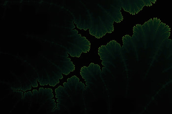 Green Plants Dark Amoled, dark, green, artist, oled, behance HD wallpaper