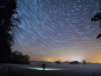Winter, Nature, Trees, Silhouette, Fog, Starry Sky, Loneliness HD wallpaper