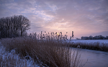 Early Morning, river, landscape, clouds, trees, sky, nature, water, sunrise HD wallpaper
