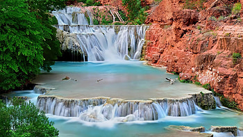 Beaver, Waterfalls HD wallpaper