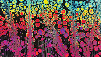 Colorful Paint Stains Liquid Bubbles Art Pattern Abstraction Abstract HD wallpaper
