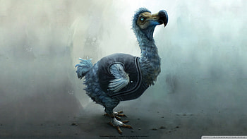 Disney, Dodo, Alice In Wonderland (2010), Movie, Bird HD wallpaper
