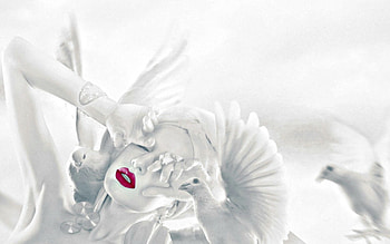 wings, white, dove, bird, situation, girl, woman, pink, feather, creative, manipulation, face, fly HD wallpaper