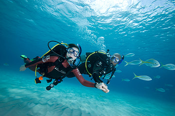 Couple, Scuba Diving HD wallpaper