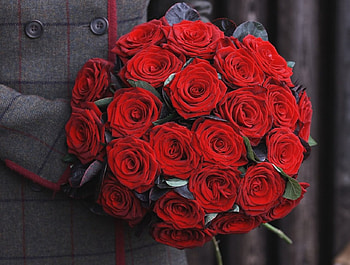 True Romance, bouquet, roses, entertainment, bunch, romance, precious, fashion, love, red, true, forever HD wallpaper