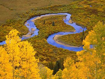 Nature, Rivers, Trees, Autumn, Forest, Bends, Colorado, Loop, Winding Creek, Gunnison National Forest HD wallpaper