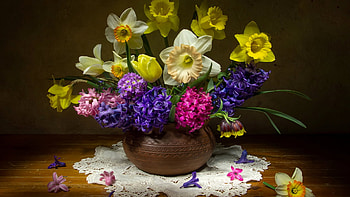 Hyacinth, Nature's beauty, Tulip bouquet, Daffodils HD wallpaper