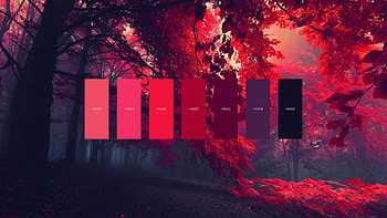 Red forest color palette, Rich hues, R HD wallpaper