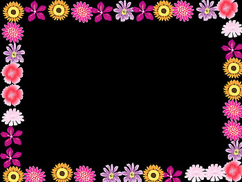 many colors, pink, color, flower, bright HD wallpaper