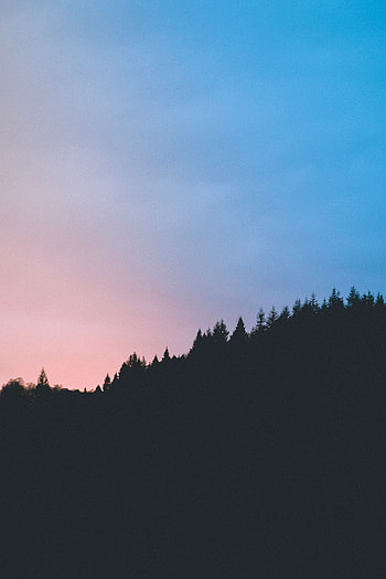 Nature, Trees, Sky, Twilight, Dark, Dusk, Outlines HD phone wallpaper