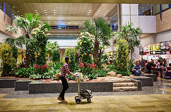 Singapore Changi, inside singapore changi, ranked best airport HD wallpaper