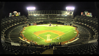 Oakland travels, Athletics baseball, MLB , Sports fan delight HD wallpaper
