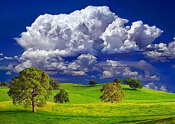GREEN and blue, blue sky, sunny, hills, clouds, trees, green grass HD wallpaper