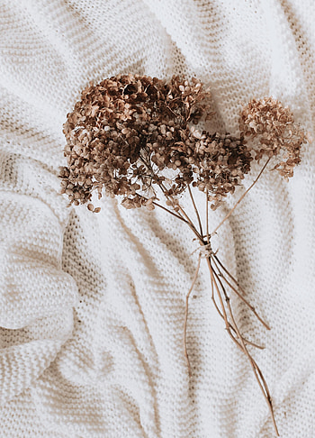 Flowers, Miscellanea, Miscellaneous, Cloth, Hydrangea, Dried Flowers, Dryflower HD phone wallpaper