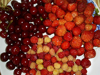 Fruits, Food, Strawberry, Cherry, Raspberry, Berries HD wallpaper