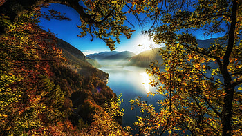 Lake Thun, Switzerland, reflections, sunshine, leaves, fall, colors, trees, water HD wallpaper