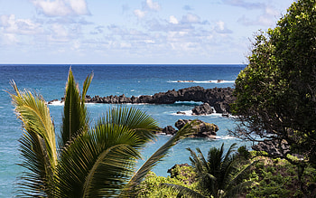 Wai'anapanapa State Park, Maui, Hawaii, rocks, coast, island, palmtree, sky HD wallpaper