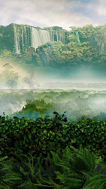 Jumanji: Welcome to the Jungle (2022) movie HD phone wallpaper