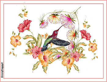 HUMMINGBIRD AND FLOWERS, ART, FLOWERS, BIRD, ABSTRACT HD wallpaper