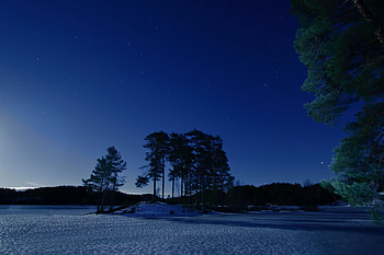 Winter, Nature, Trees, Night, Twilight, Snow, Starry Sky, Dusk HD wallpaper