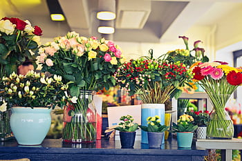 A colorful array of flowers in various vases inside a modern florist shop. HD wallpaper