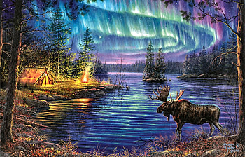 elk in the northernlights, blue, northernlight, nature, deer HD wallpaper