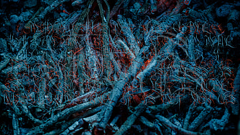 Nothing Stays, scripture, gothic, dark, poetry HD wallpaper