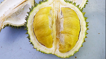 Affordable Mao Shan Wang, Best durian stalls, Budget-friendly option, Durian indulgence HD wallpaper