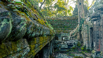Angkor Wat, , Background HD wallpaper