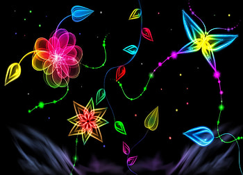 Butterflies, Flowers, Background HD wallpaper