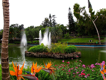 Nature, Flowers, Fountain, Registration, Typography, Garden, Pond, Brightly HD wallpaper