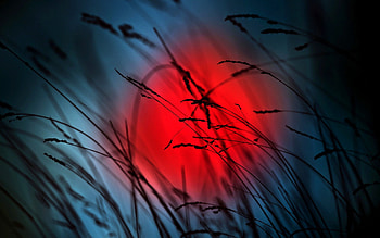 Beautiful..., peaceful, beautiful, grass, beauty, red moon, moon, pretty, red, clouds, nature, sky, splendor, lovely, sun, evening HD wallpaper