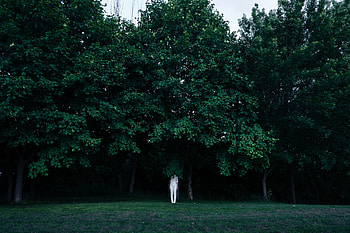 Trees, Minimalism, Hide, Human, Person, Contrast HD wallpaper