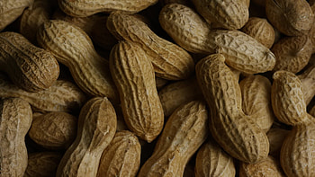 Peanuts (Food), Stock video footage, , Culinary inspiration HD wallpaper