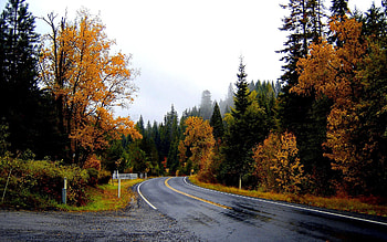 Nature, Road, Turn, Traffic, Movement HD wallpaper